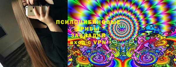 прущие грибы Вязьма