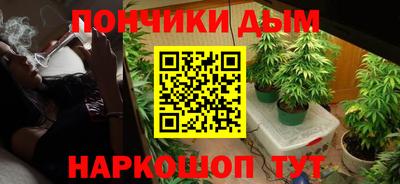 гидра Кингисепп
