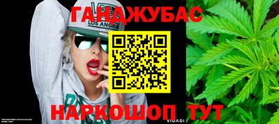 гидра Кингисепп