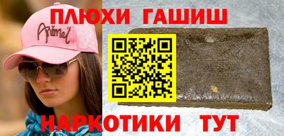 гидра Кингисепп