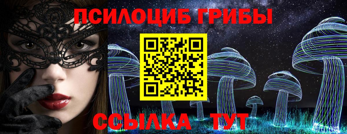 Галлюциногенные грибы Psilocybine cubensis  Ливны  что такое   Псилоцибиновые грибы прущие грибы 