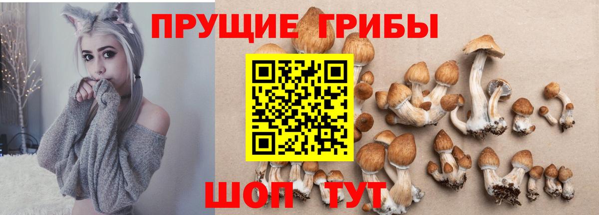 Ливны  Псилоцибиновые грибы мухоморы  Галлюциногенные грибы Psilocybe  сколько стоит  Вход с VPN 